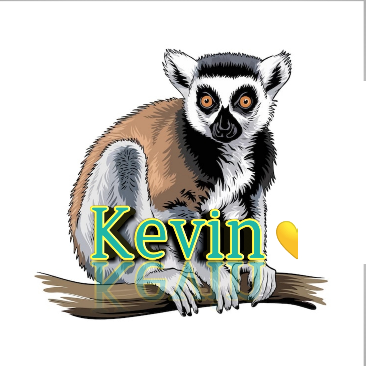 Maki KEVIN — cliquez pour voir les offres